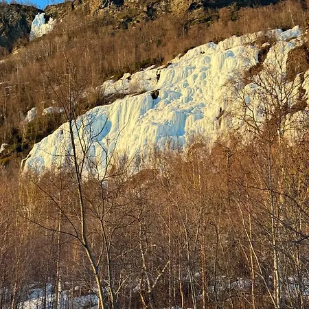 Silent Reisa Tatil Evi