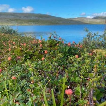 Tatil Evi Silent Reisa