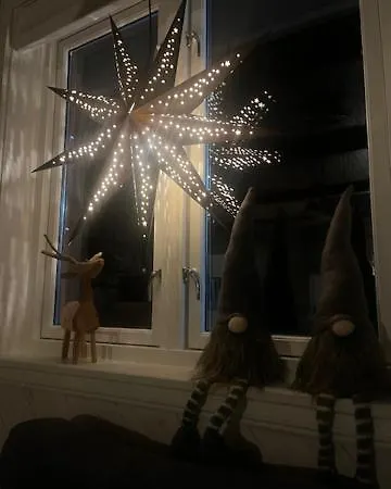 Silent Reisa Tatil Evi Storslett